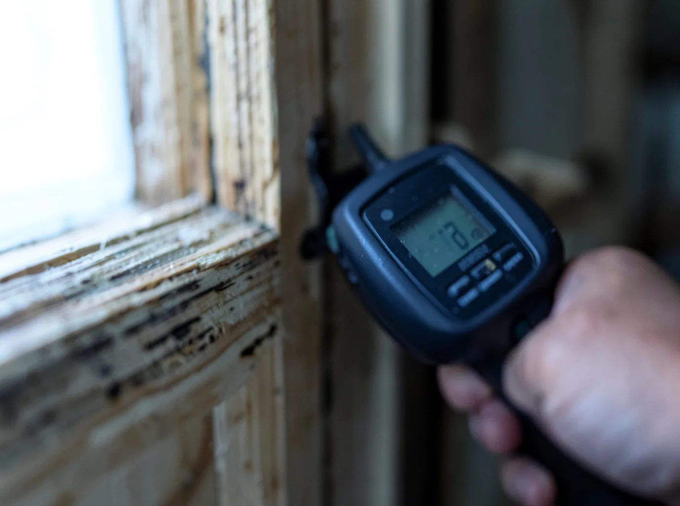 Moisture Inspection And Documentation in Saltillo, TN